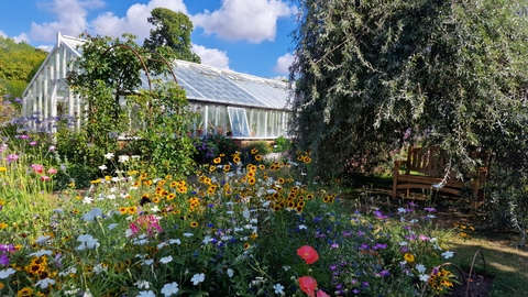 Garden with flowers and greenhouse