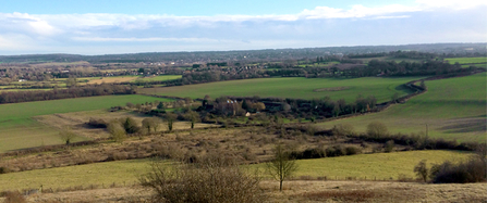 The view from Polhill Bank