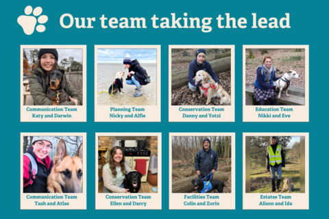 image of staff and their dogs
