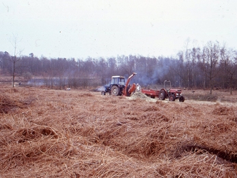 Tractor on hothfield heathland in 1992