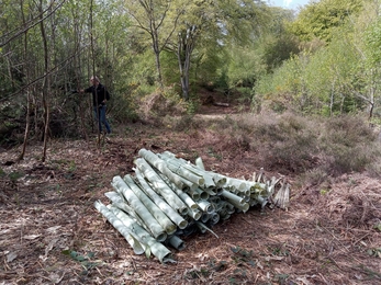 Pile of tree guards collected by volunteers laid out in the woodland at Sevenoaks Greensand Commons