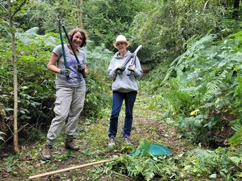 Two people with loppers working to manage Hunt's Wood for nature.