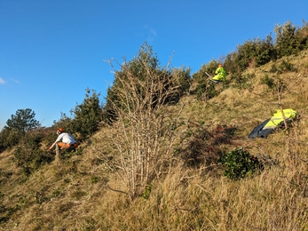 Dover volunteer update feb 23 - steep slope