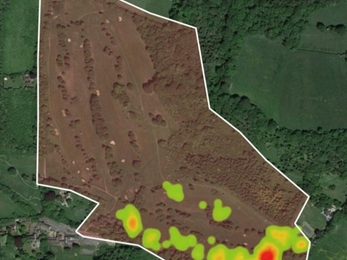 A heat map of Heather Corrie Vale showing cattle huddled in a wooded area.