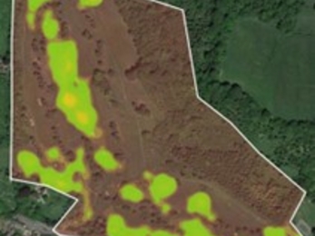 A heat map of Heather Corrie Vale showing cattle spread across the reserve.