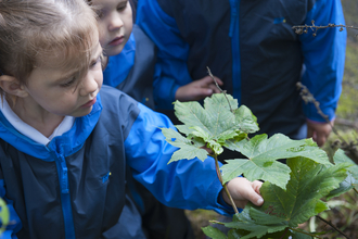 Forest School, photo by Paul Harris/2020VISION