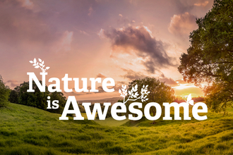 Nature is Awesome