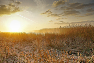 Sunrise over the marshes, photo by Phil Haynes