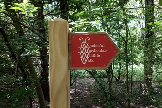 Wonderful Wordicular Wildlife Walk Post
