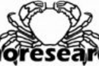 Shoresearch Logo