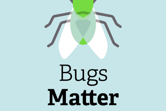Graphic of designed bug with text saying Bugs Matter 