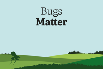 Take part in our Bugs Matter survey