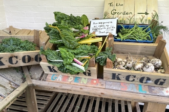 locally grown vegetables and fruit in boxes