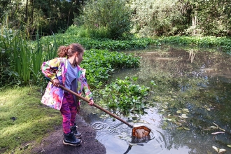 Young child wearing boots and a raincoat dips a net into a river to explore the creatures that live there