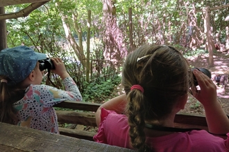 Children holding binoculars to their eyes as they watch wildlife from a bird hide in a woodland