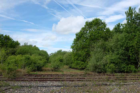 Disused railway tracks at Lodge Hill