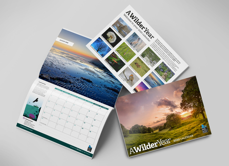 2020 Wildlife Calendar
