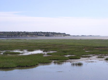 Medway and Coastal Wetlands