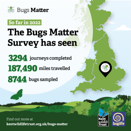 Bugs Matter mid point stat UK