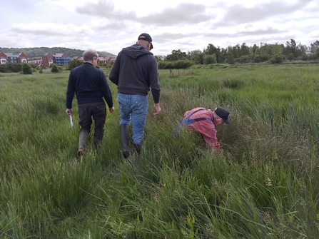3 volunteers walking away from the camera completing a water vole survey