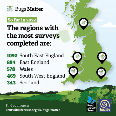 Bugs Matter journey numbers august 2022