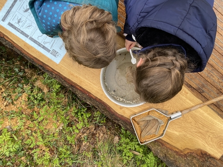 Holiday Club pond dipping