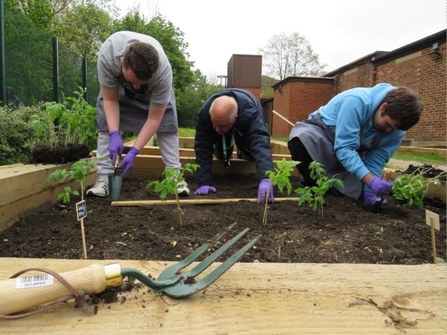 3 people over a raised bed planting up plants