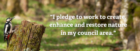 I pledge to work to create, enhance and restore nature in my council area.