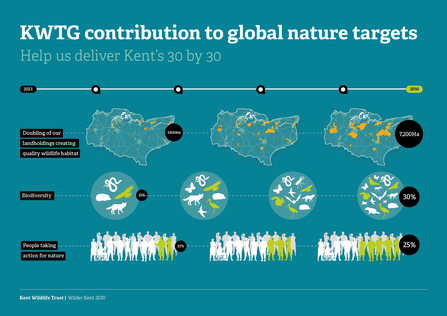 Kent Wildlife Trust's Contribution to Global Nature Targets. Doubling our landholdings creating quality wildlife habitat. Increasing biodiversity. Inspiring people to take action for nature. 
