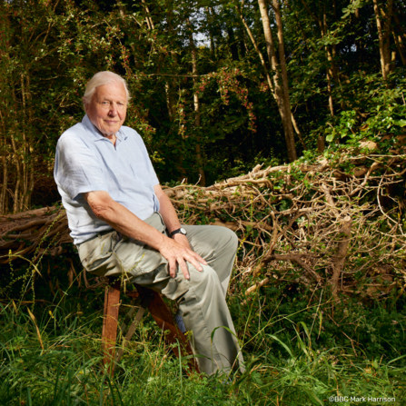 David Attenborough at Downe Bank nature reserve