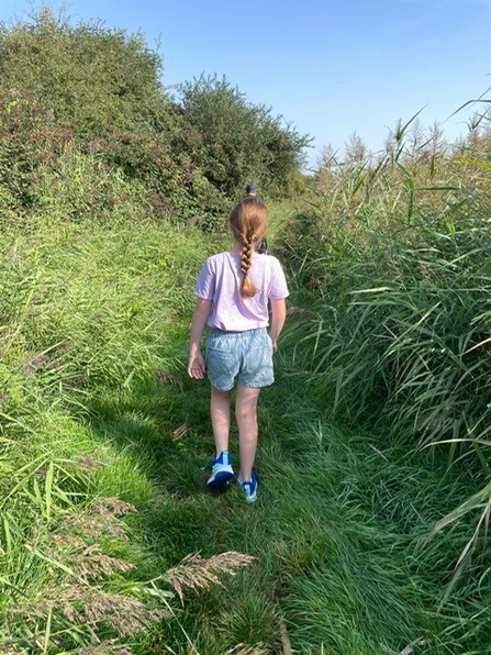 Paul's daughter walking through the tall green vegetation at Holborough Marshes