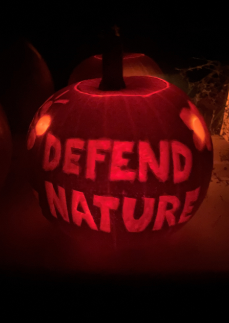 Defend nature carved into a pumpkin at night showing the light shining through the middle