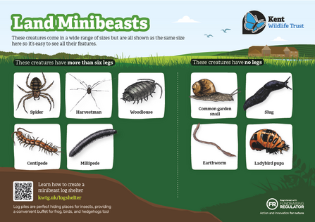 A fieldguide for minibeast with more than six legs or no legs