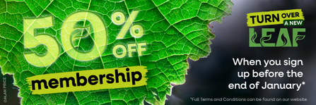 50% off membership, turn over a new leaf