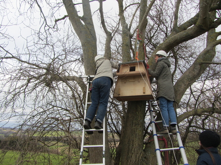 Team install barn owl boxes across the Darent Valley project area.