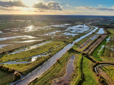 A photo from above Minster Marshes, showing the water glowing in the sun.