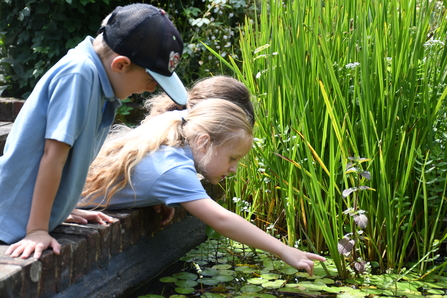 school visit pond dipping at tyland barn