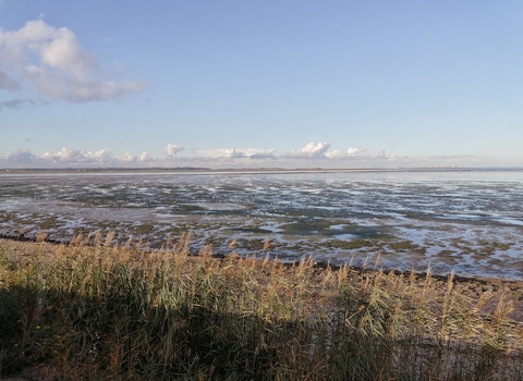 Coastal view Oare