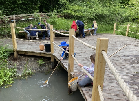 Holiday Club June 2022 pond dipping