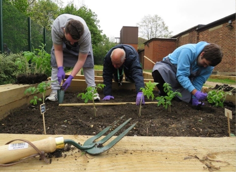 3 people over a raised bed planting up plants