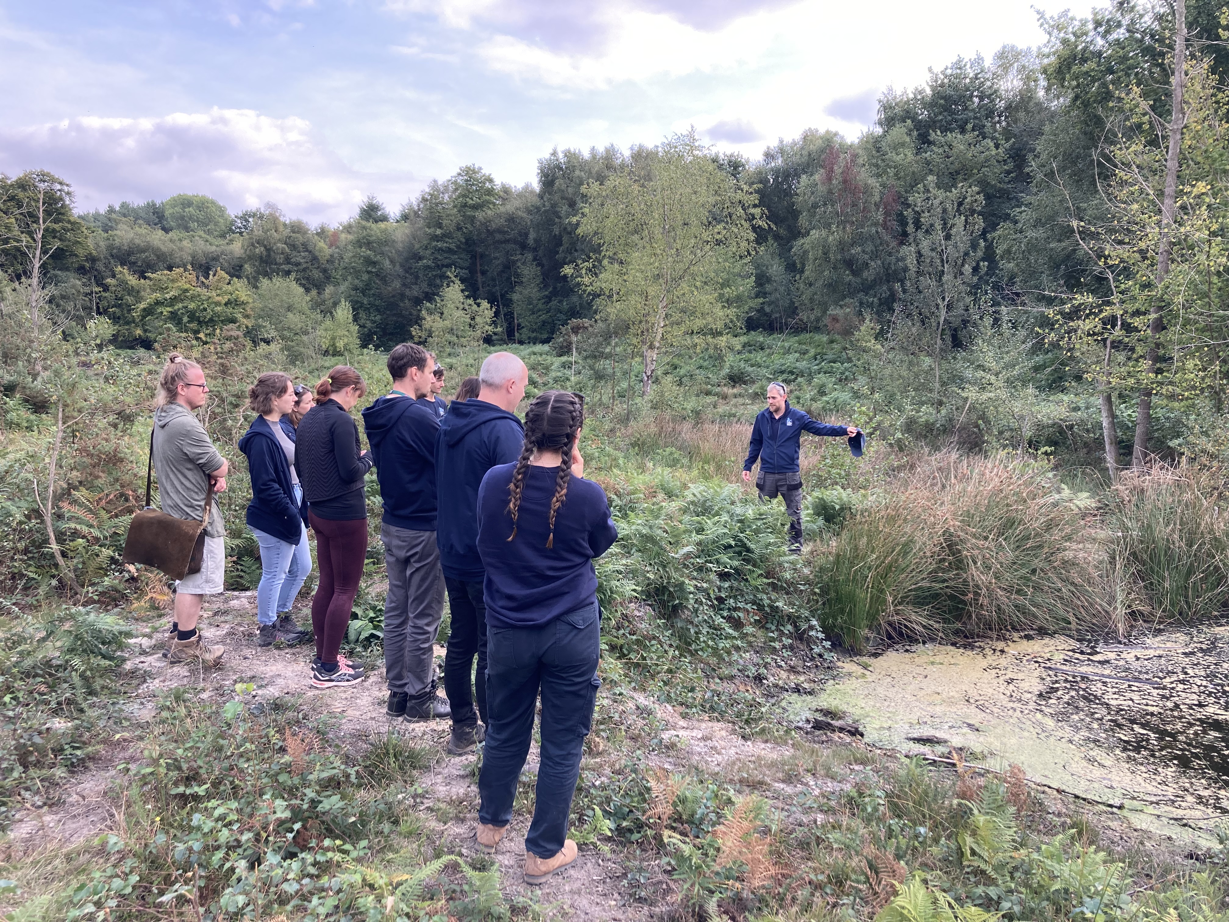 The Blean Wildscape | Kent Wildlife Trust