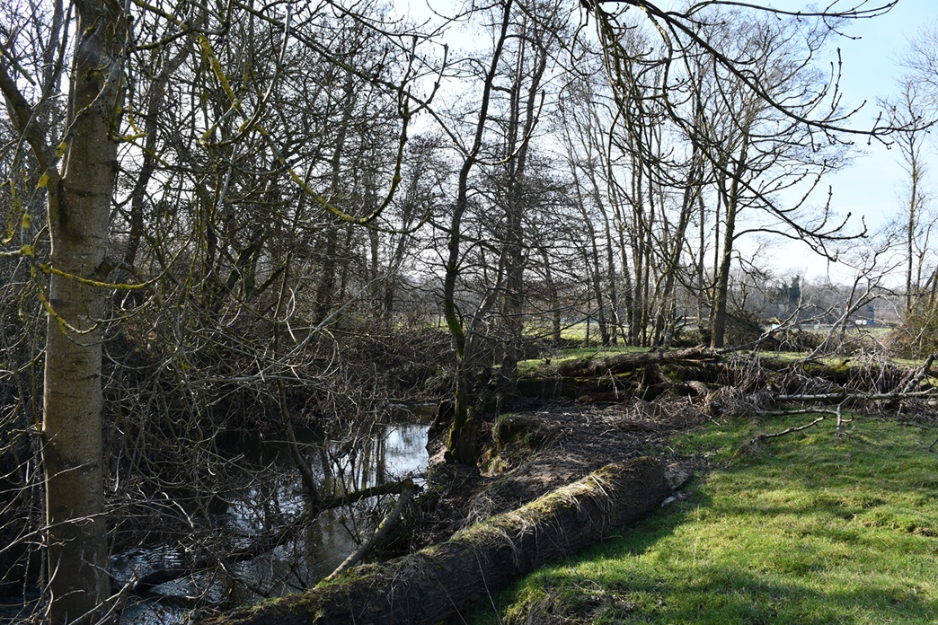 Hoathly Farm with trees and river running through