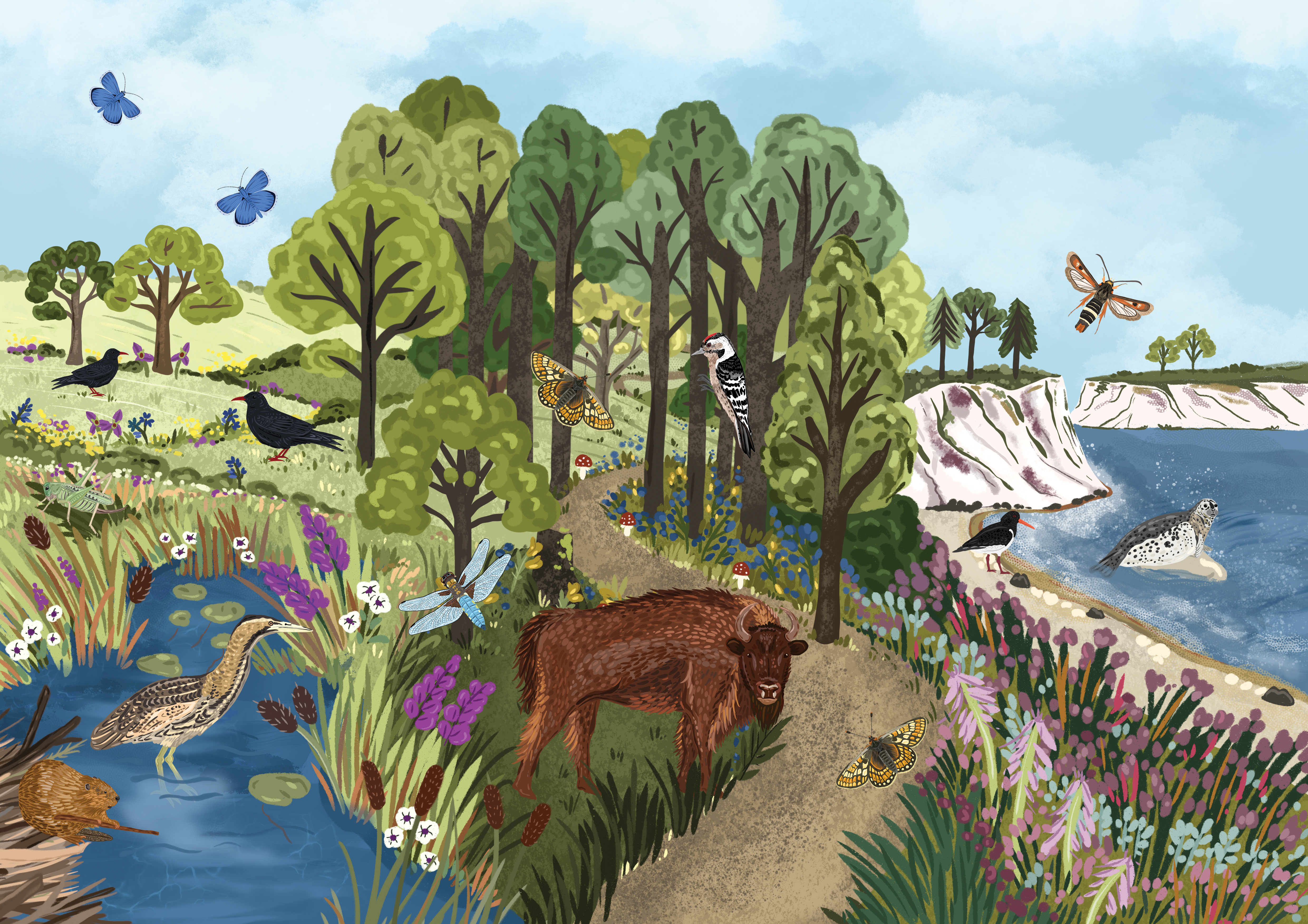 An illustration of different animals in the wild.