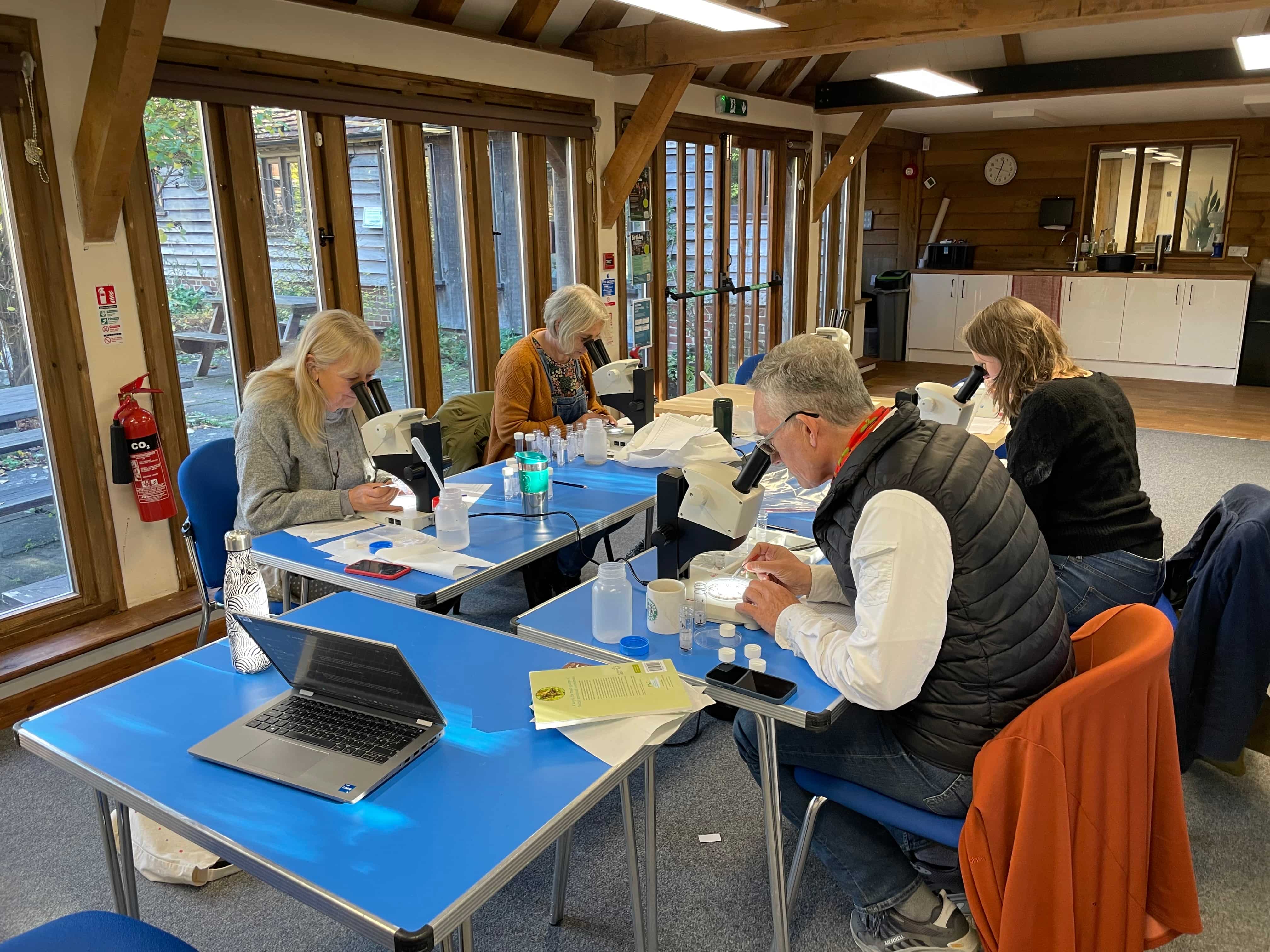 Blean invertebrate sorting volunteers