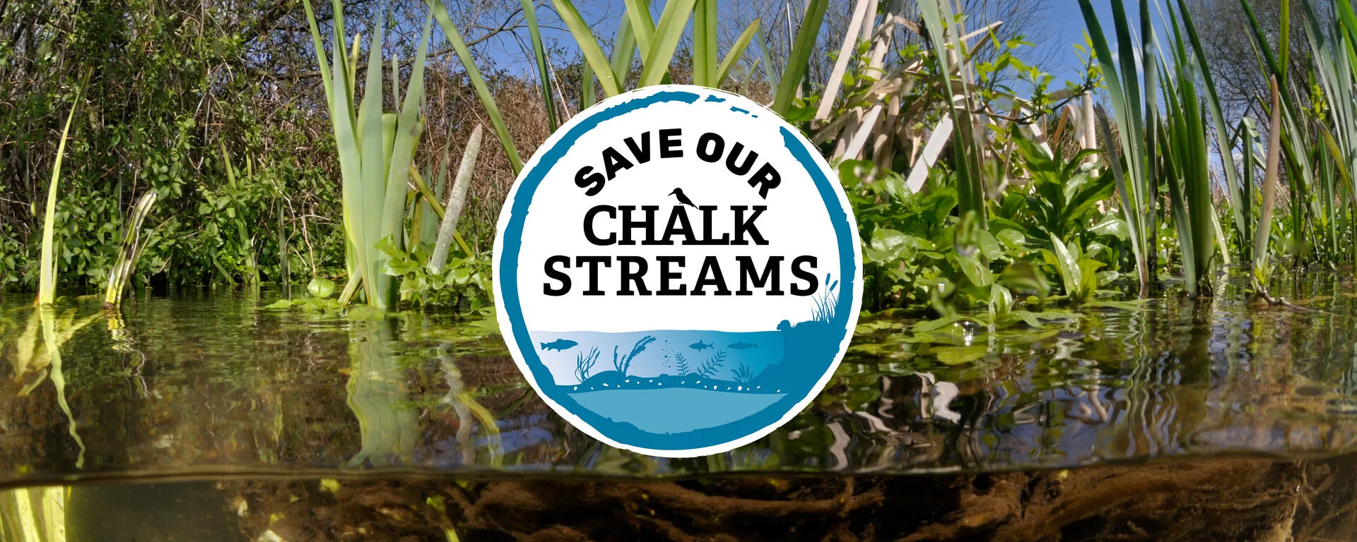 A logo reads 'Save our chalk streams' over a close-up of a river.