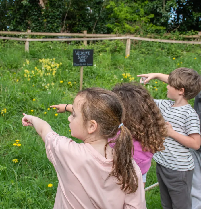 children pointing at nature at green bank