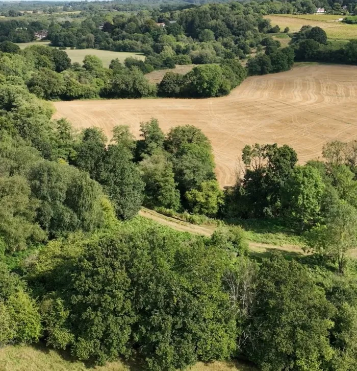 Fields in countryside 