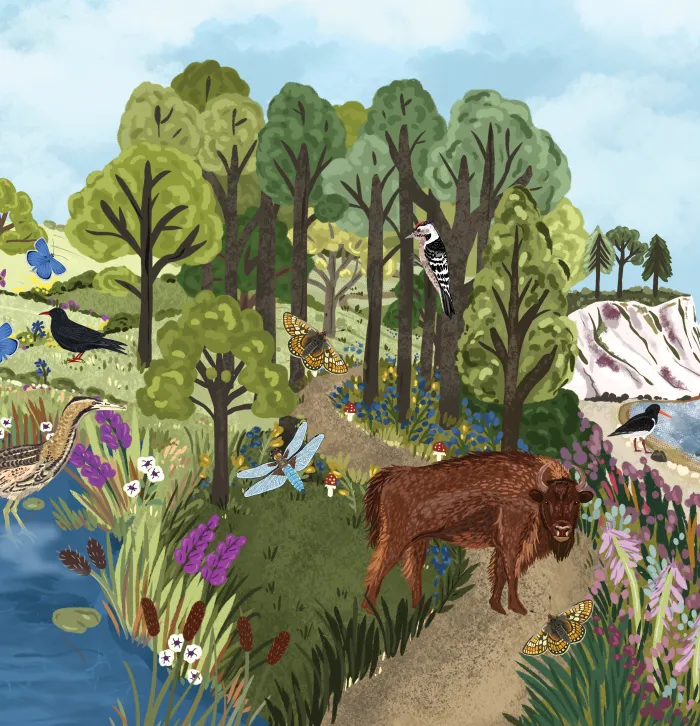 Nature Restoration Fund illustration species adjusted
