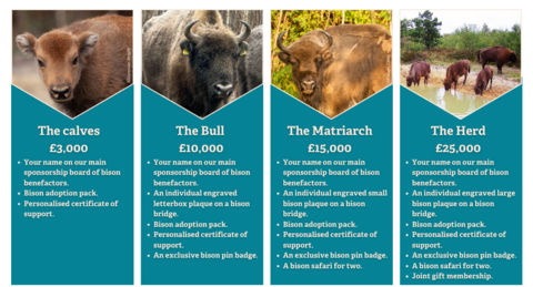 bison benefactor costings