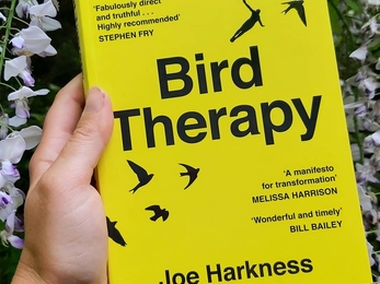 Cover of Joe Harkness's book, Bird Therapy